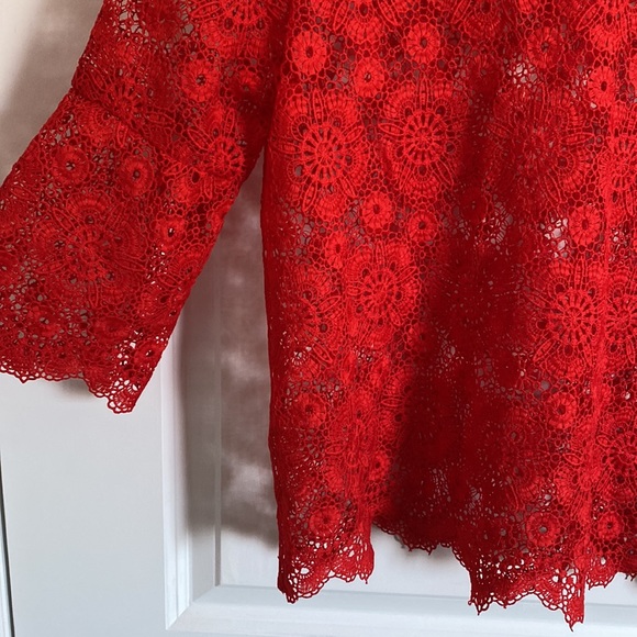 Zara Eyelet Top - Picture 4 of 5